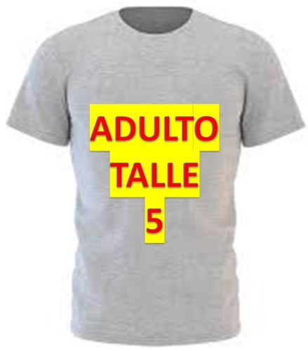 REMERA GRIS ADULTO MODAL TALLE 5
