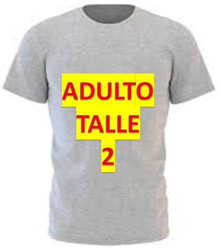 REMERA GRIS ADULTO MODAL TALLE 2
