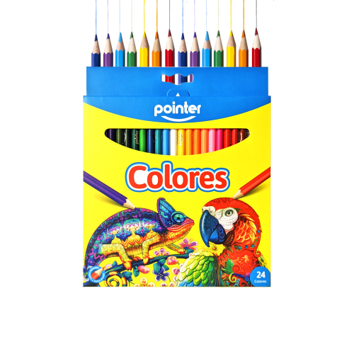 LAPIZ DE COLOR 24