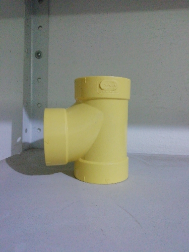 Tee 2" sanit