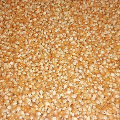 Canguil (Palomitas de Maíz)