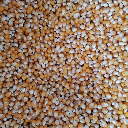 Canguil Porción