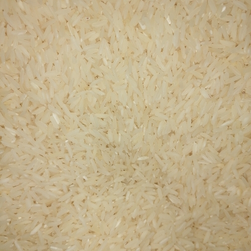 Arroz nuevo