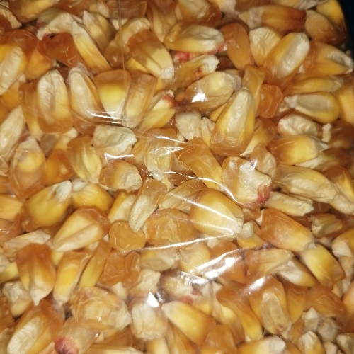 Chulpi