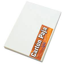 CARTON PAJA OCTAVO
