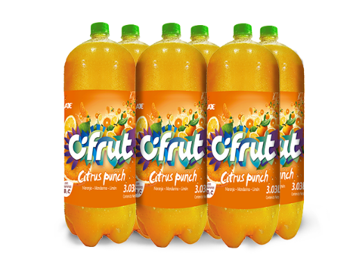 CIFRUT CITRUT PUNCH 3.03 L