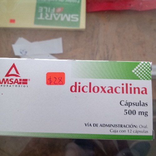 Dicloxacilina cápsulas 500mg