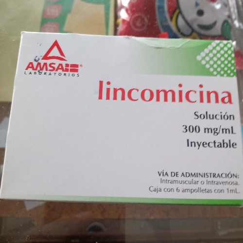 Lincomicina inyectable 300mg
