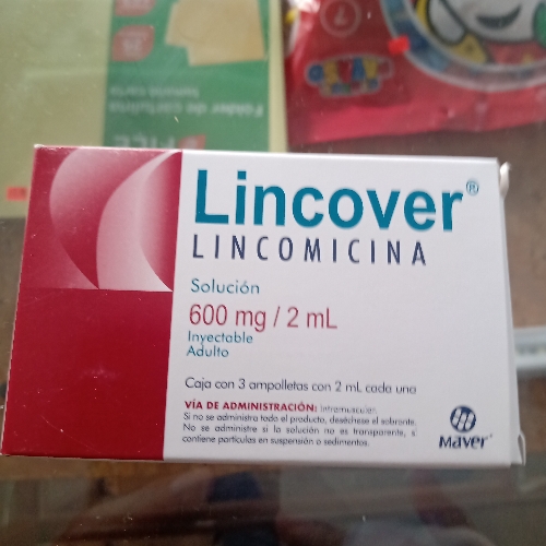 Lincomicina inyectable 600mg