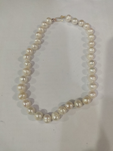 CFL0062 16