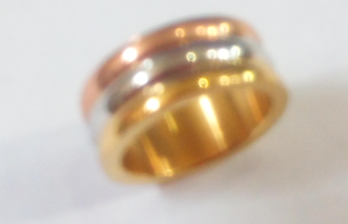 ANA0004 1