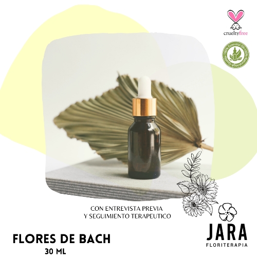 REPOSICIÓN Flores de Bach X 30 ML