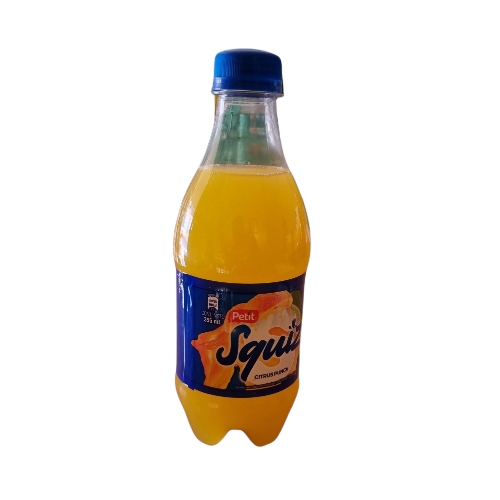 Squiz 355 ml 12 un
