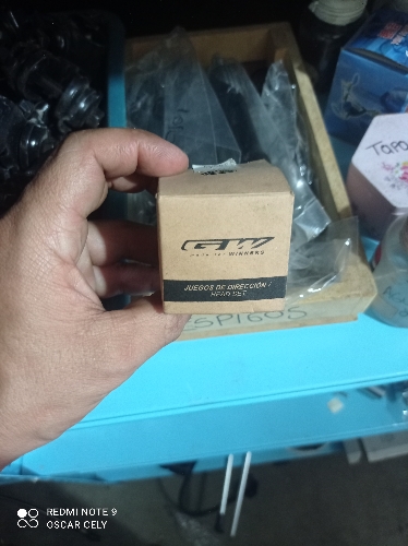 Cajas de dirección Gw rodamientos