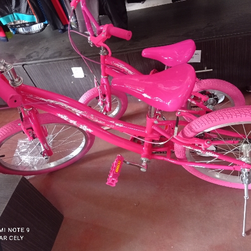 Bicicleta 20 ontrail girl