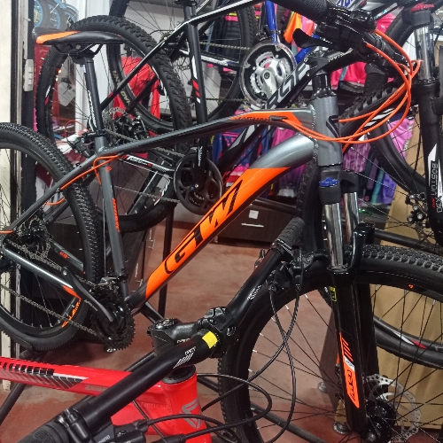 Bicicleta 29 Gw jaguar  f/mecánico
