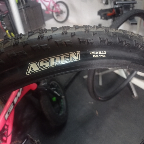 Coraza 29 maxxis aspen