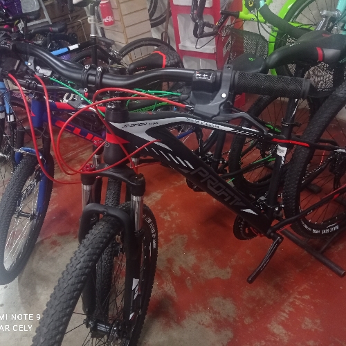 Bicicleta 29 profit jasper acero