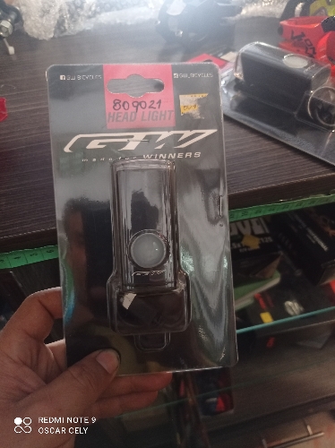 Luz delantera Gw 809921