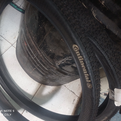 Coraza 29 continental raceking