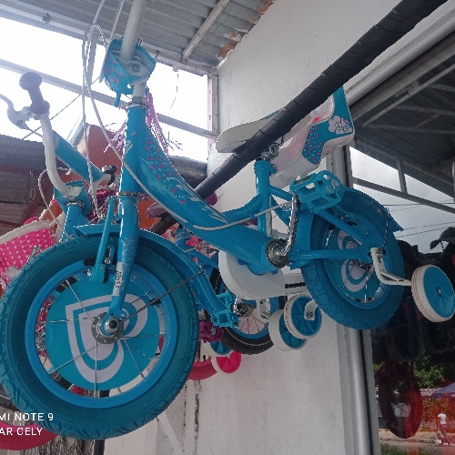 Bicicleta 12 Gw angel
