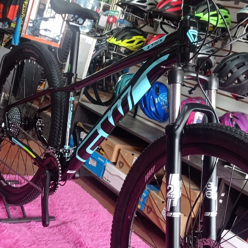 Bicicleta 29 Gw lynx 9x2 f/logan