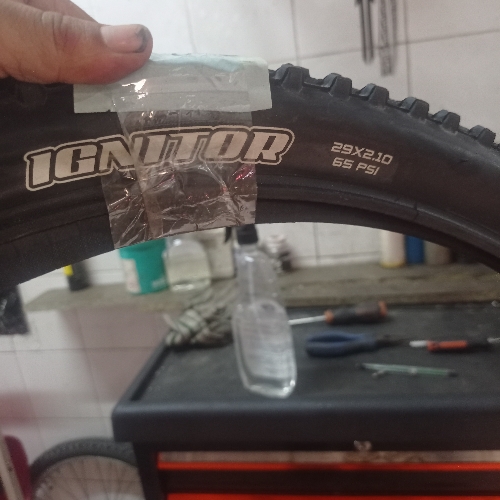 Coraza 29 maxxis ignitor