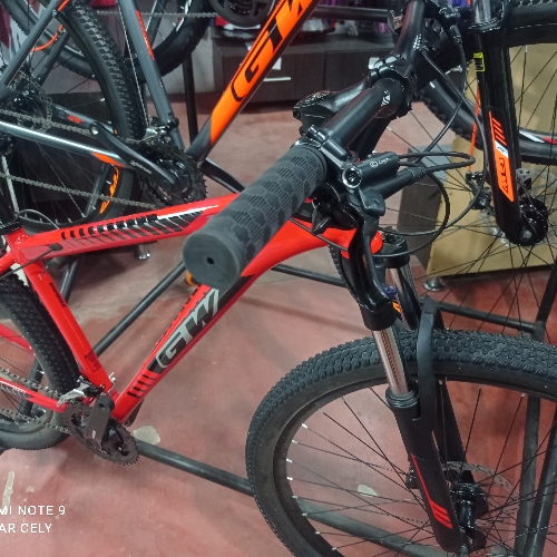 Bicicleta 29 Gw zebra f/Hidra freebike