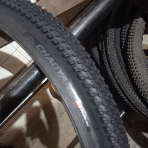 Coraza 29 chaoyang victory x 2.0 H5129