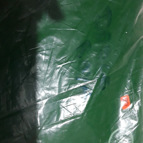 Libreta doble raya  Rayter italiana