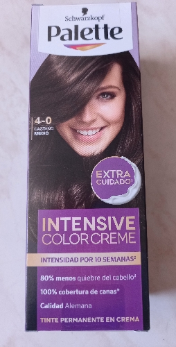 Tinte Palette  Castaño medio 4-0