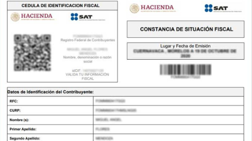 RFC Consulta