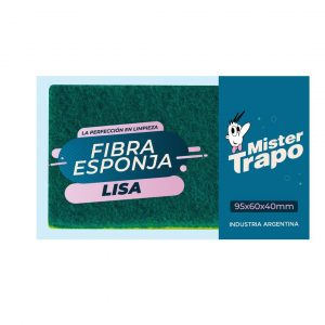 ESPONJA LISA FIBRA- ECOO