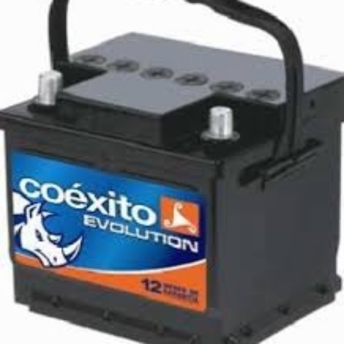 BATERIA 36I750  SILVER CARST