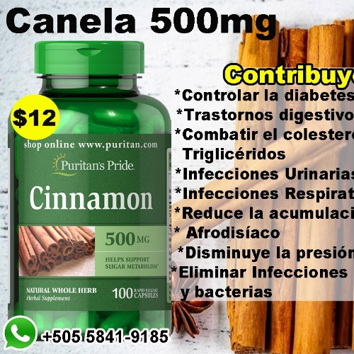 Canela 500mg 100 cápsulas