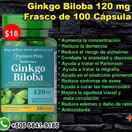 Ginkgo Biloba 120mg 100 Cápsulas