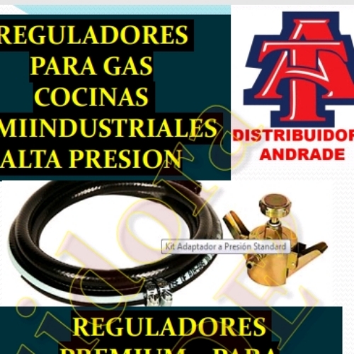 KIT VALVULAS A/P PETROGAS