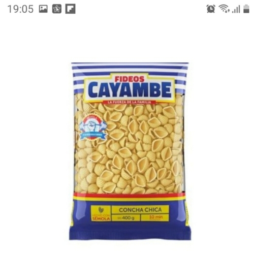 Cayambe concha chica