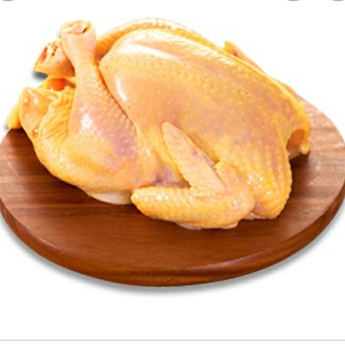 Pollo