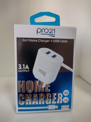 Pro21 iphone 3.1A