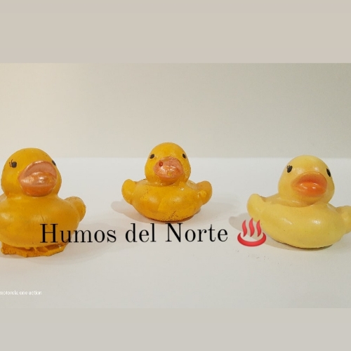 Portasahumerio patito