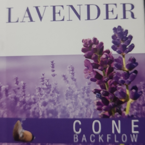 Conos vividha lavanda