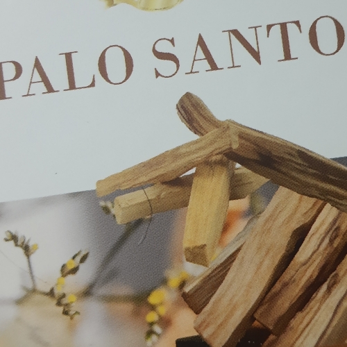 Conos vividha palo santo