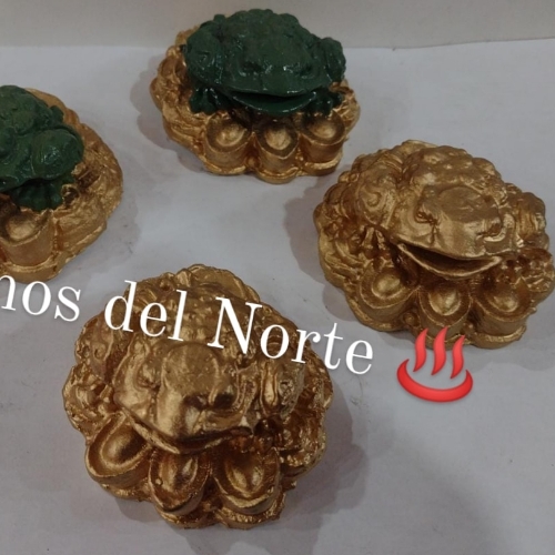 Sapo con monedas