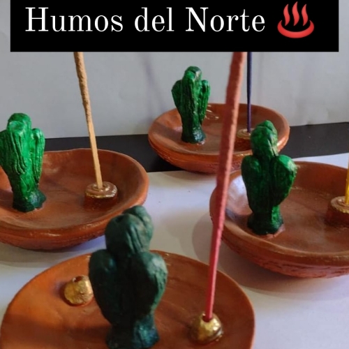 P. Cactus platillo