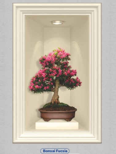 134 vinilo cuadro  bonsai