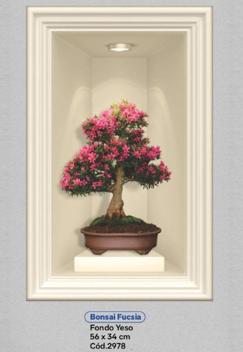 Bonsai Fucsia