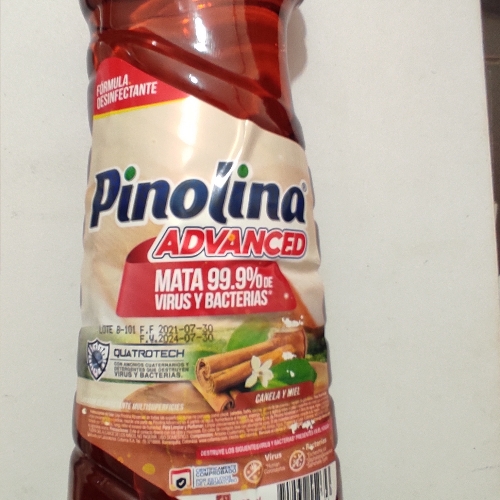 PINOLINA CANELA X 960
