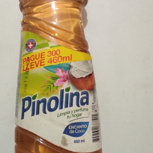 PINOLINA ENCANTO DE COCO  X 460