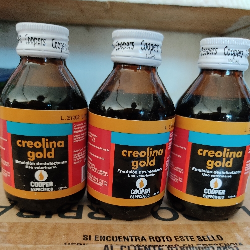 CREOLINA COOPERS X 120